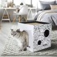 Caixas arranhadoras para gatos